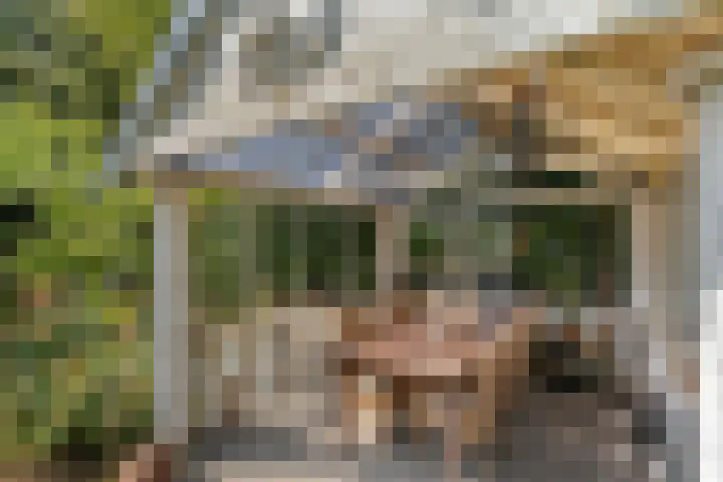 Steenakkers-Oost 8 Onna thumbnail 65