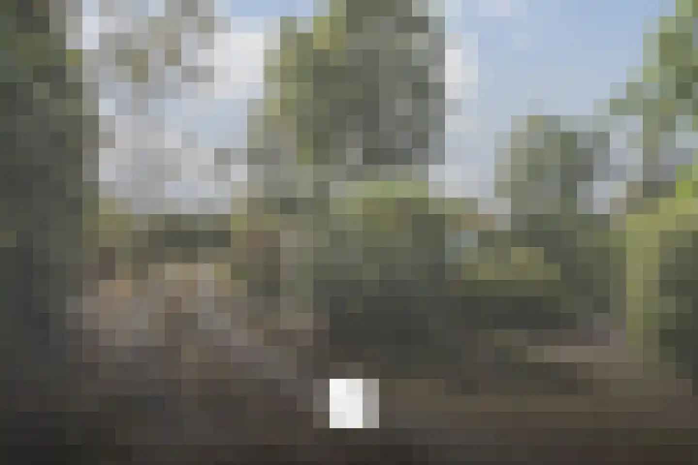 Steenakkers-Oost 8 Onna thumbnail 69