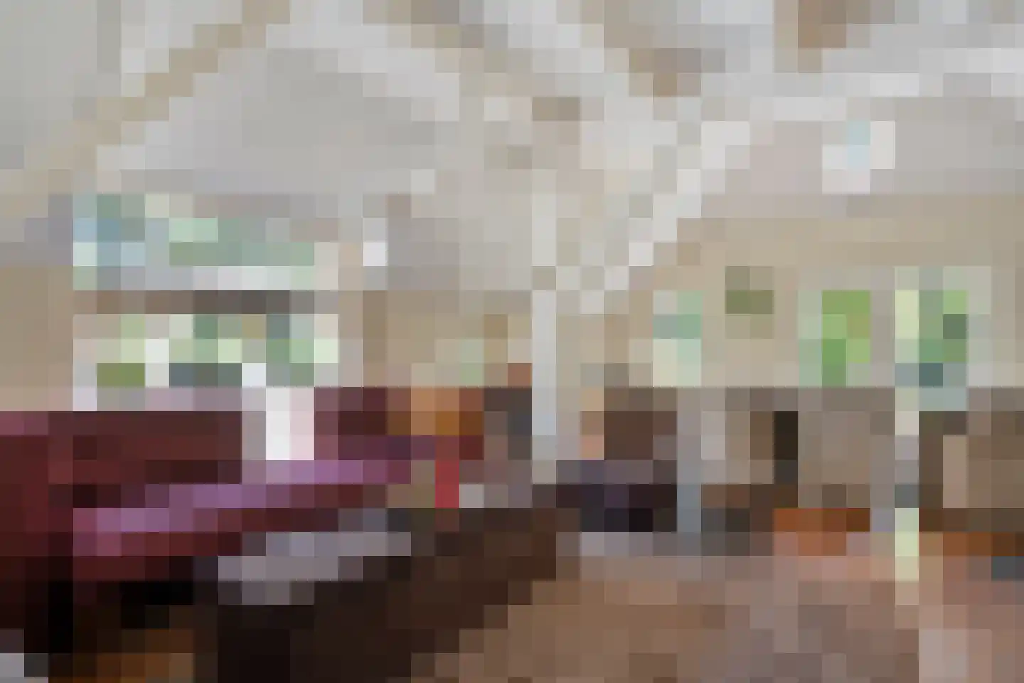 Steenakkers-Oost 8 Onna thumbnail 9