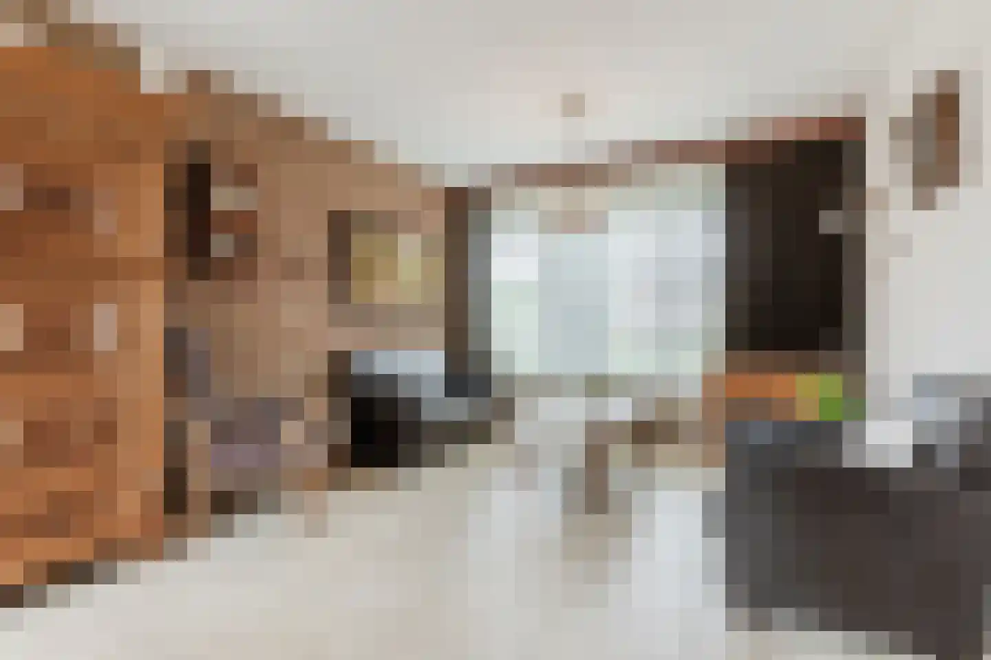 Steenakkerstraat 11 Maasbracht thumbnail 12