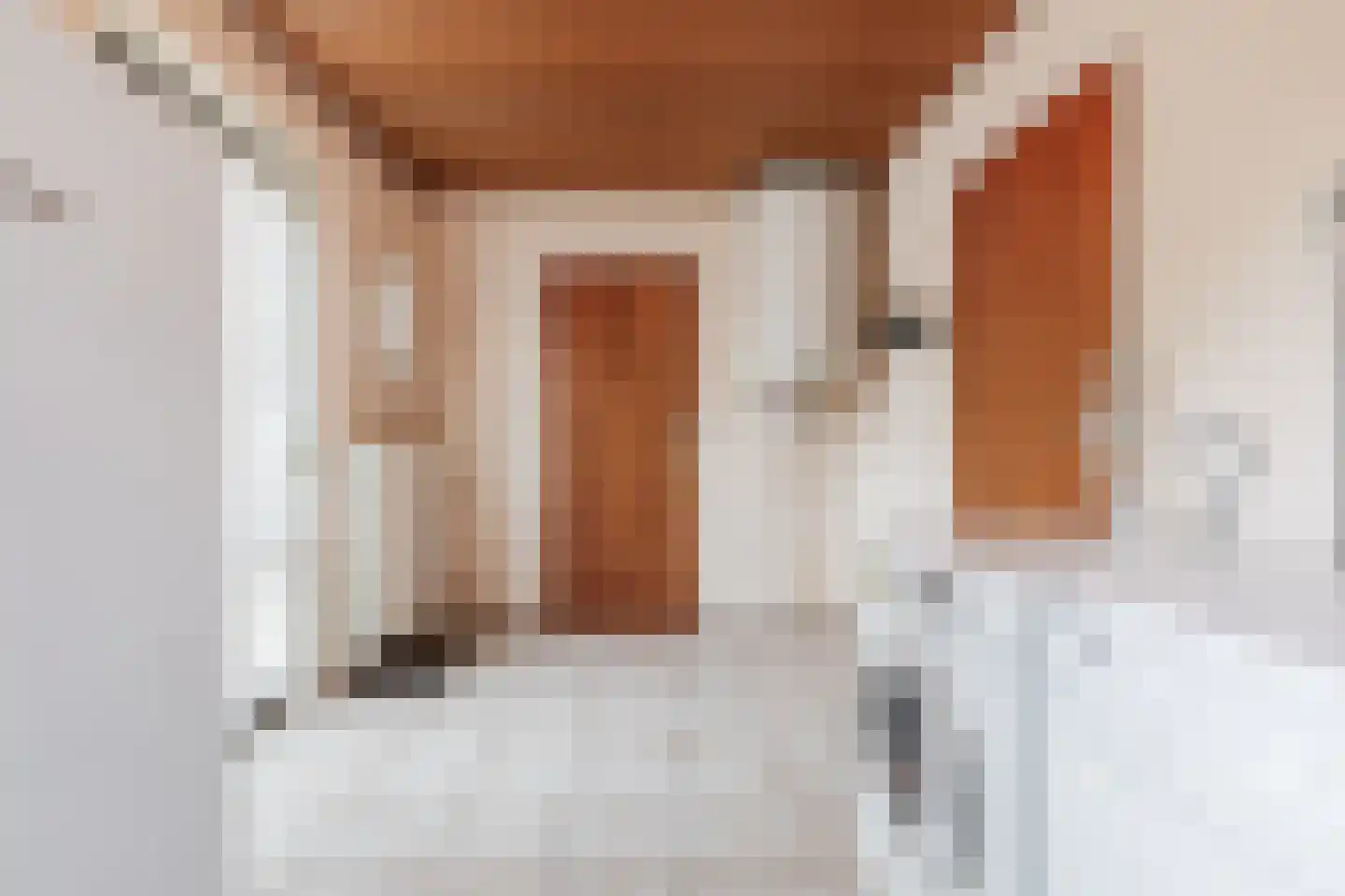 Steenakkerstraat 11 Maasbracht thumbnail 22