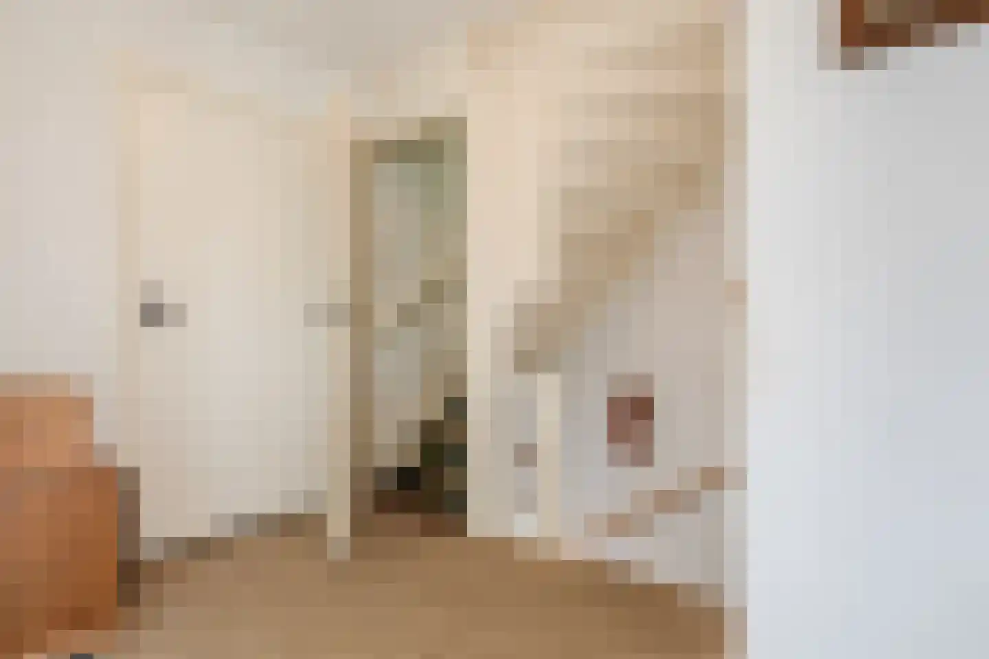 Steenakkerstraat 11 Maasbracht thumbnail 25