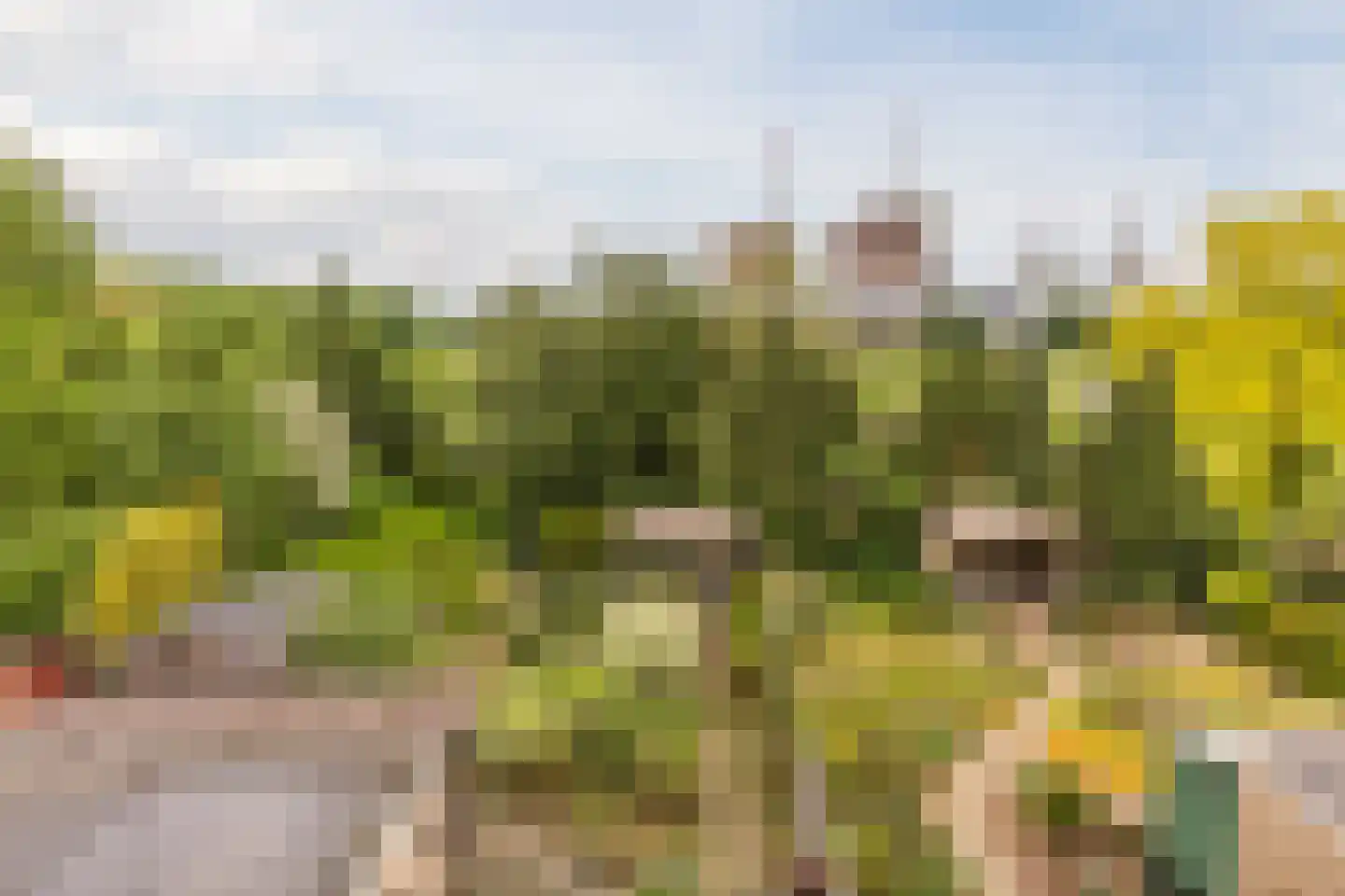 Steenakkerstraat 11 Maasbracht thumbnail 4
