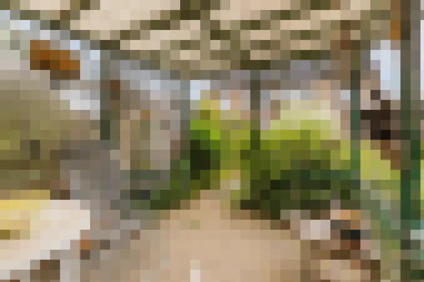 Steenakkerstraat 11 Maasbracht thumbnail 42