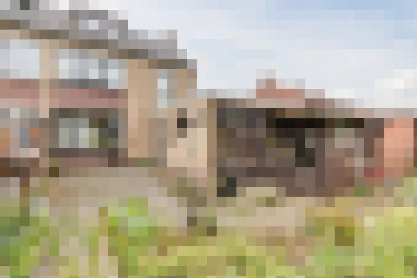 Steenakkerstraat 11 Maasbracht thumbnail 47