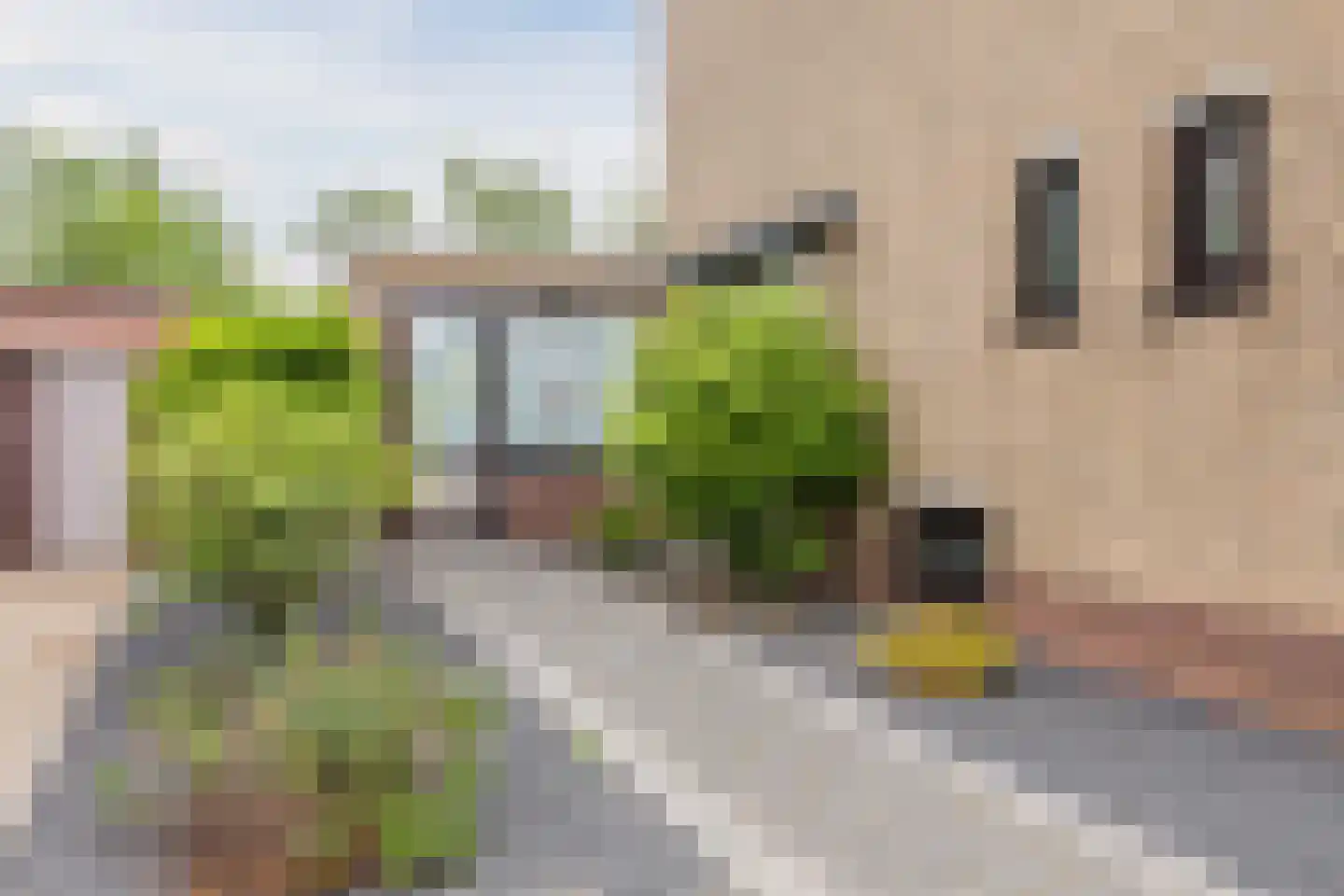 Steenakkerstraat 11 Maasbracht thumbnail 7