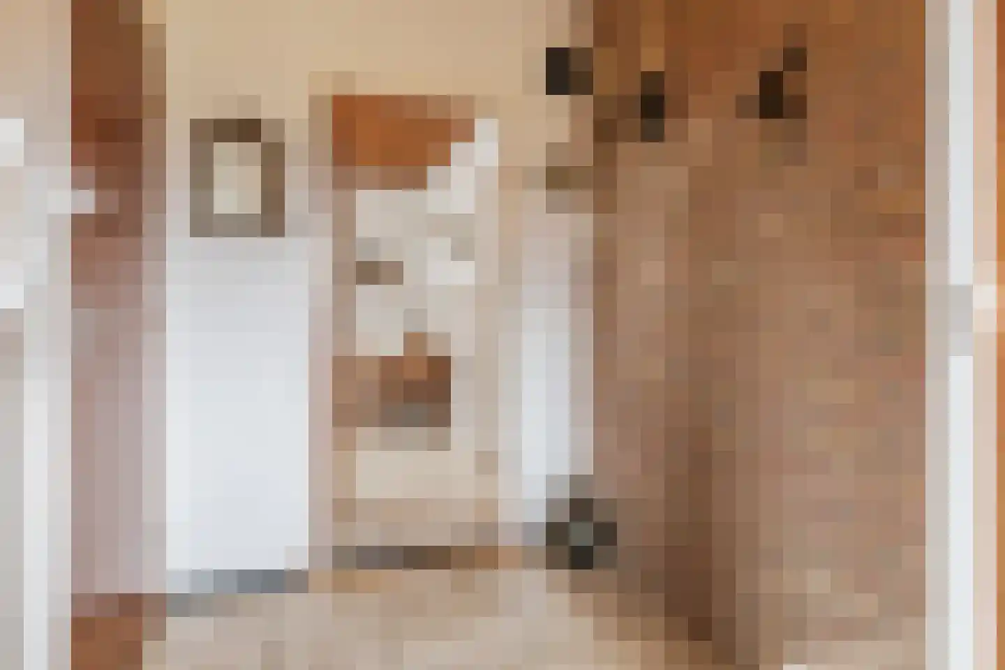 Steenakkerstraat 11 Maasbracht thumbnail 9