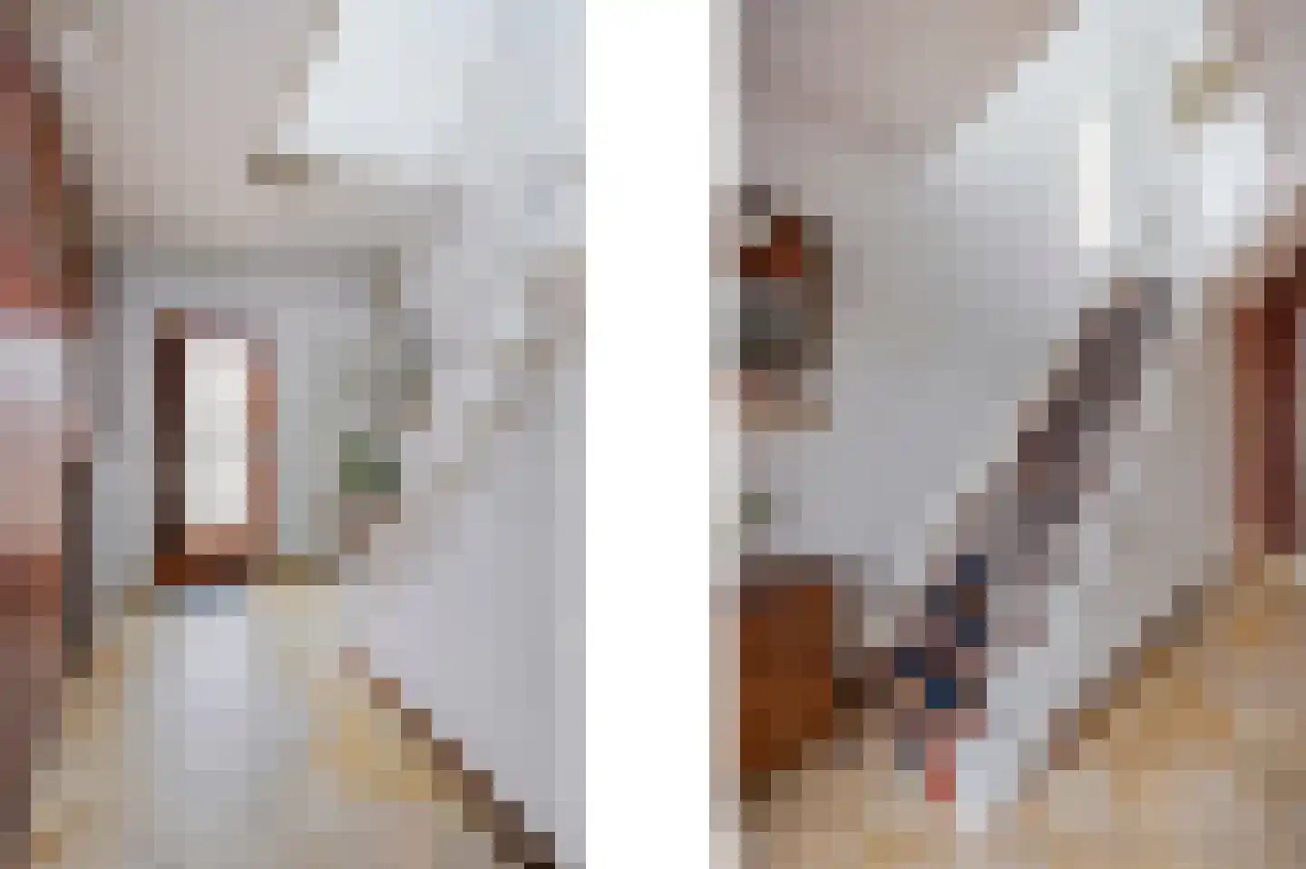Steenakkerstraat 15 Maasbracht thumbnail 10