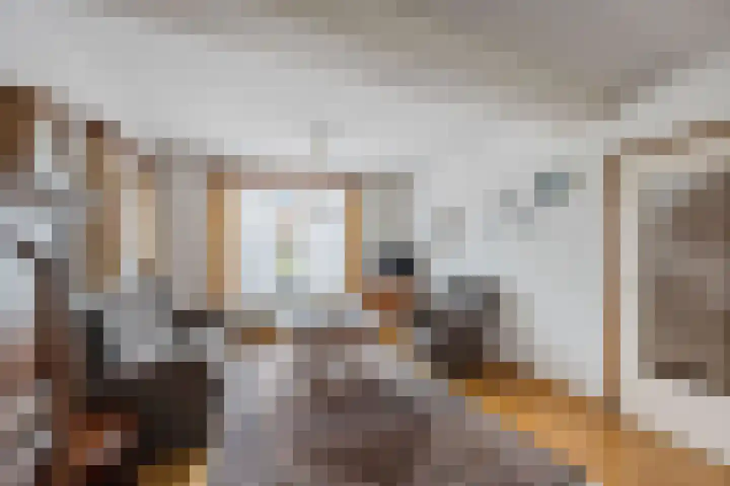 Steenakkerstraat 15 Maasbracht thumbnail 12