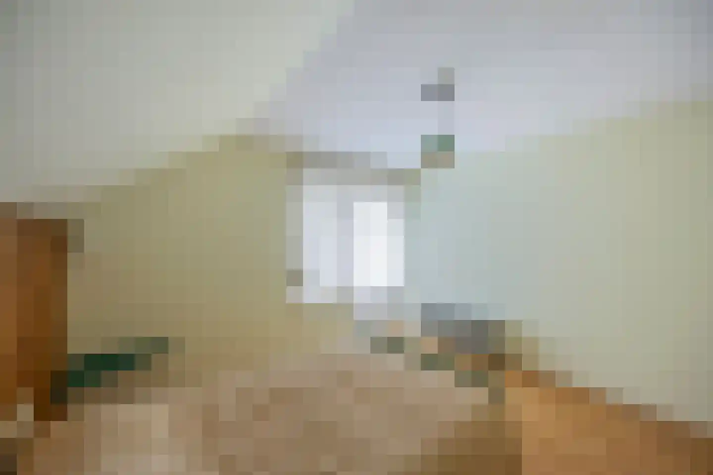 Steenakkerstraat 15 Maasbracht thumbnail 29