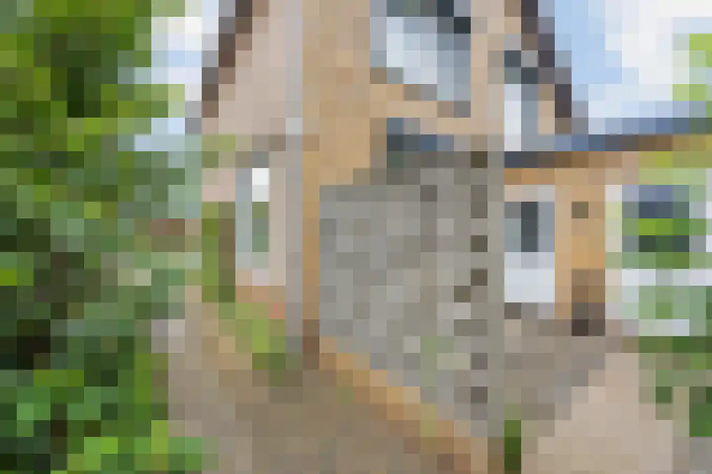 Steenakkerstraat 15 Maasbracht thumbnail 39