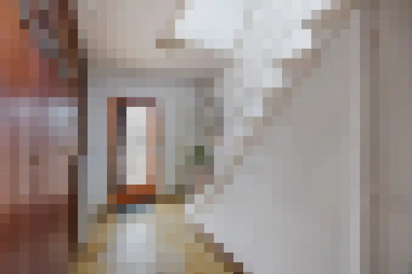 Steenakkerstraat 15 Maasbracht thumbnail 9