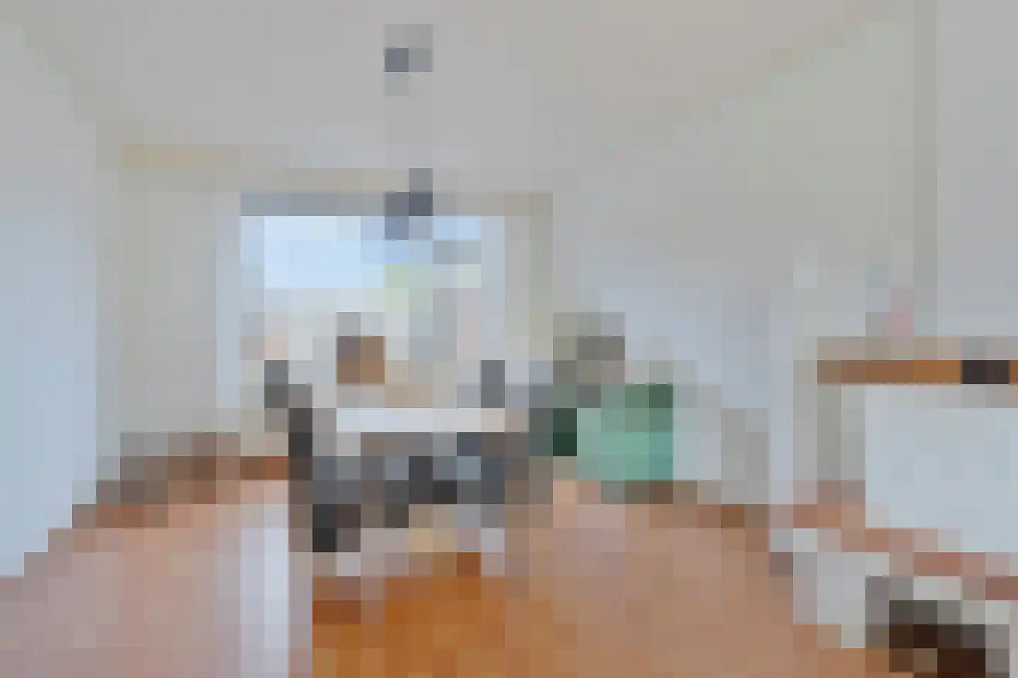 Steenakkerstraat 30 Maasbracht thumbnail 12