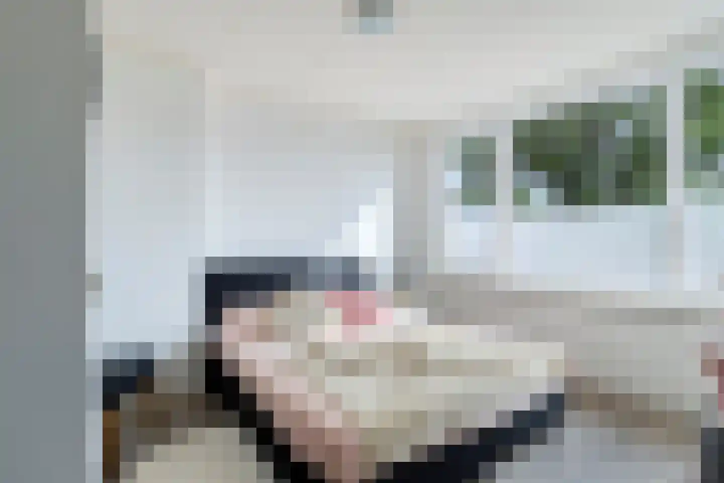 Steenakkerstraat 30 Maasbracht thumbnail 17
