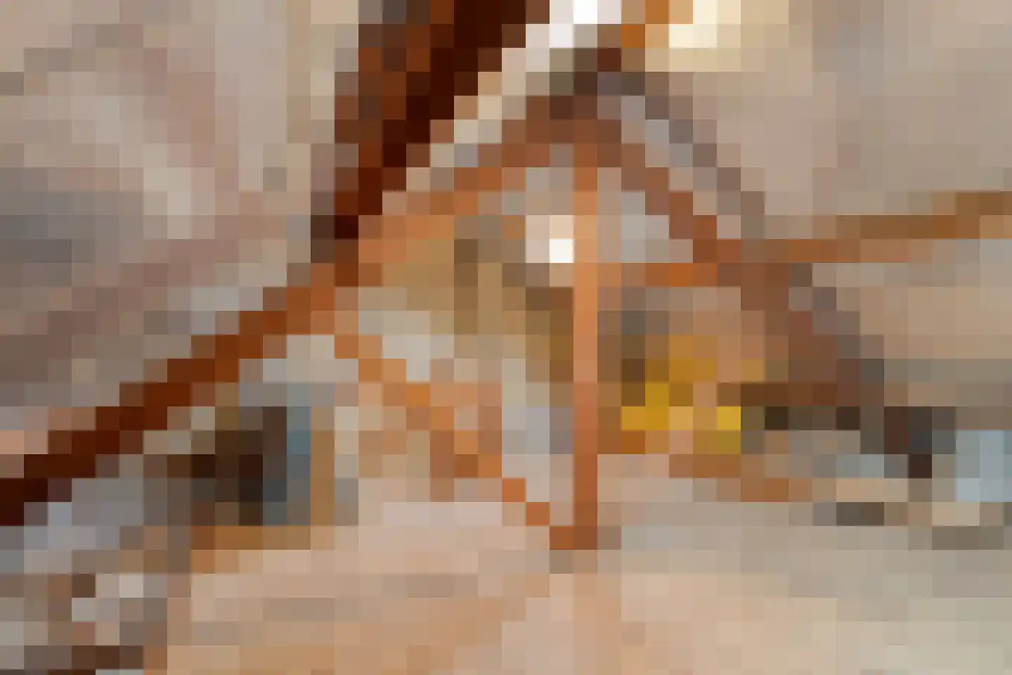 Steenakkerstraat 30 Maasbracht thumbnail 26