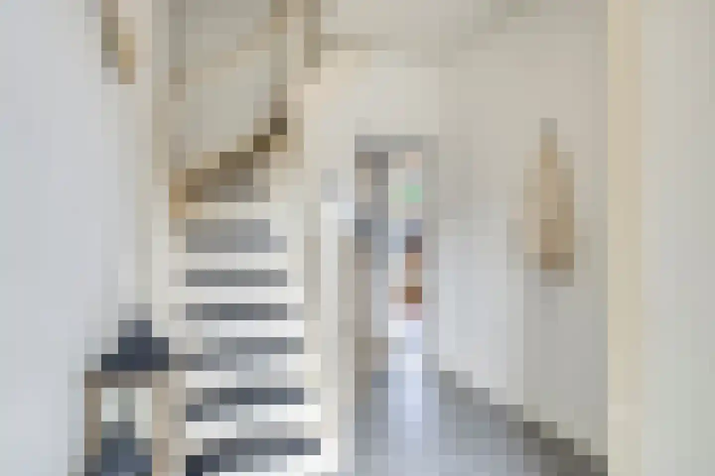 Steenakkerstraat 30 Maasbracht thumbnail 5