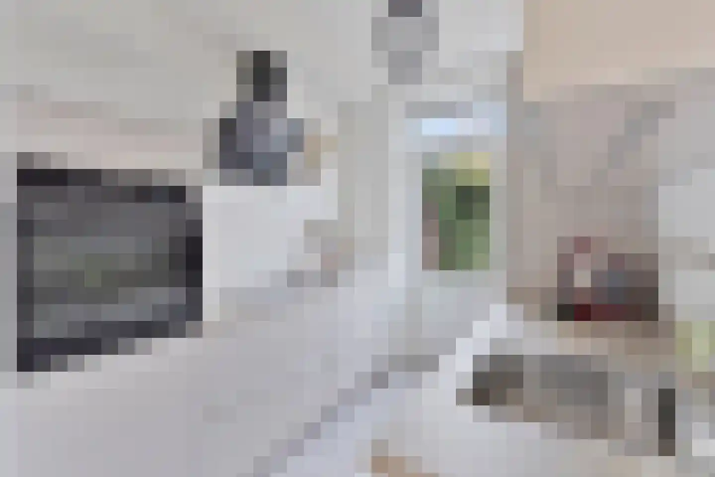 Steenakkerstraat 30 Maasbracht thumbnail 7
