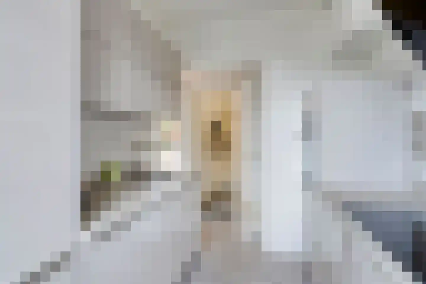 Steenakkerstraat 30 Maasbracht thumbnail 8