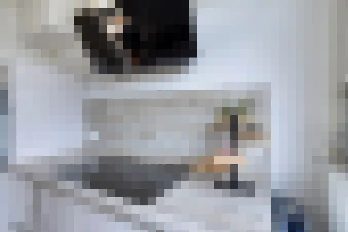 Steenakkerstraat 30 Maasbracht thumbnail 9