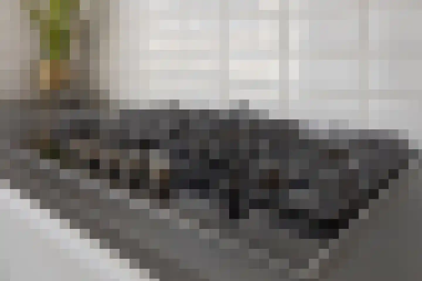 Steenakkerstraat 49 Maasbracht thumbnail 11