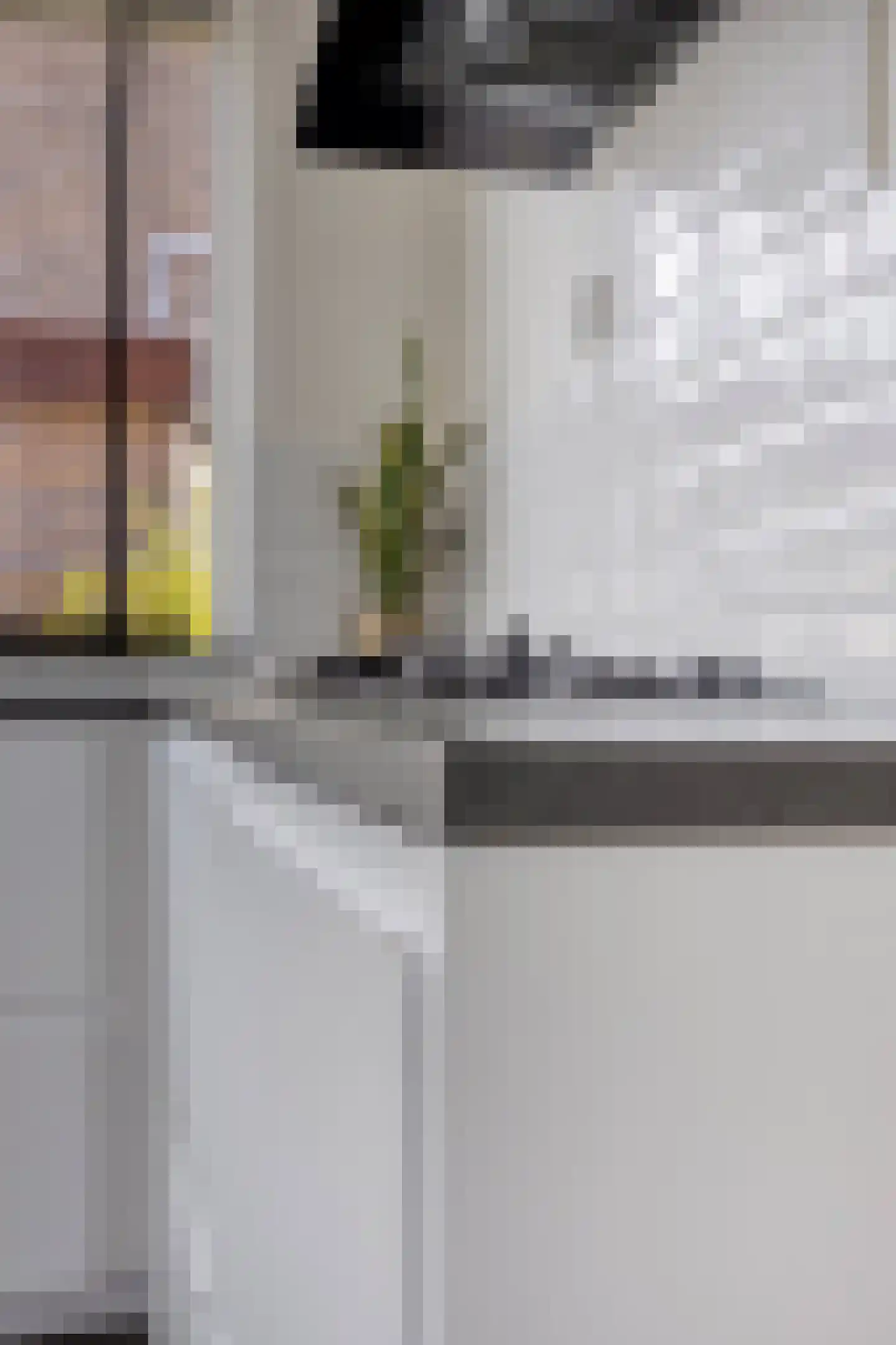 Steenakkerstraat 49 Maasbracht thumbnail 14