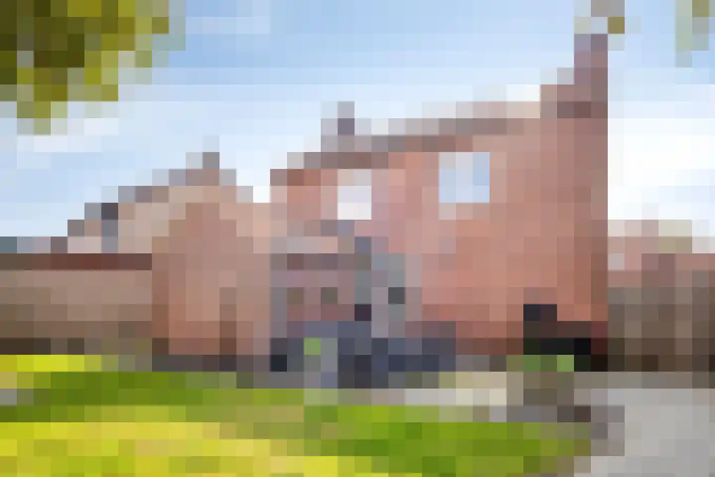 Steenakkerstraat 49 Maasbracht thumbnail 36
