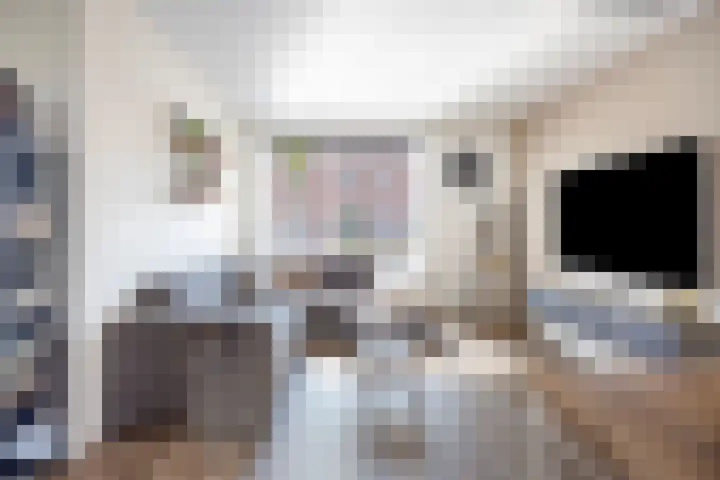 Steenakkerstraat 49 Maasbracht thumbnail 6