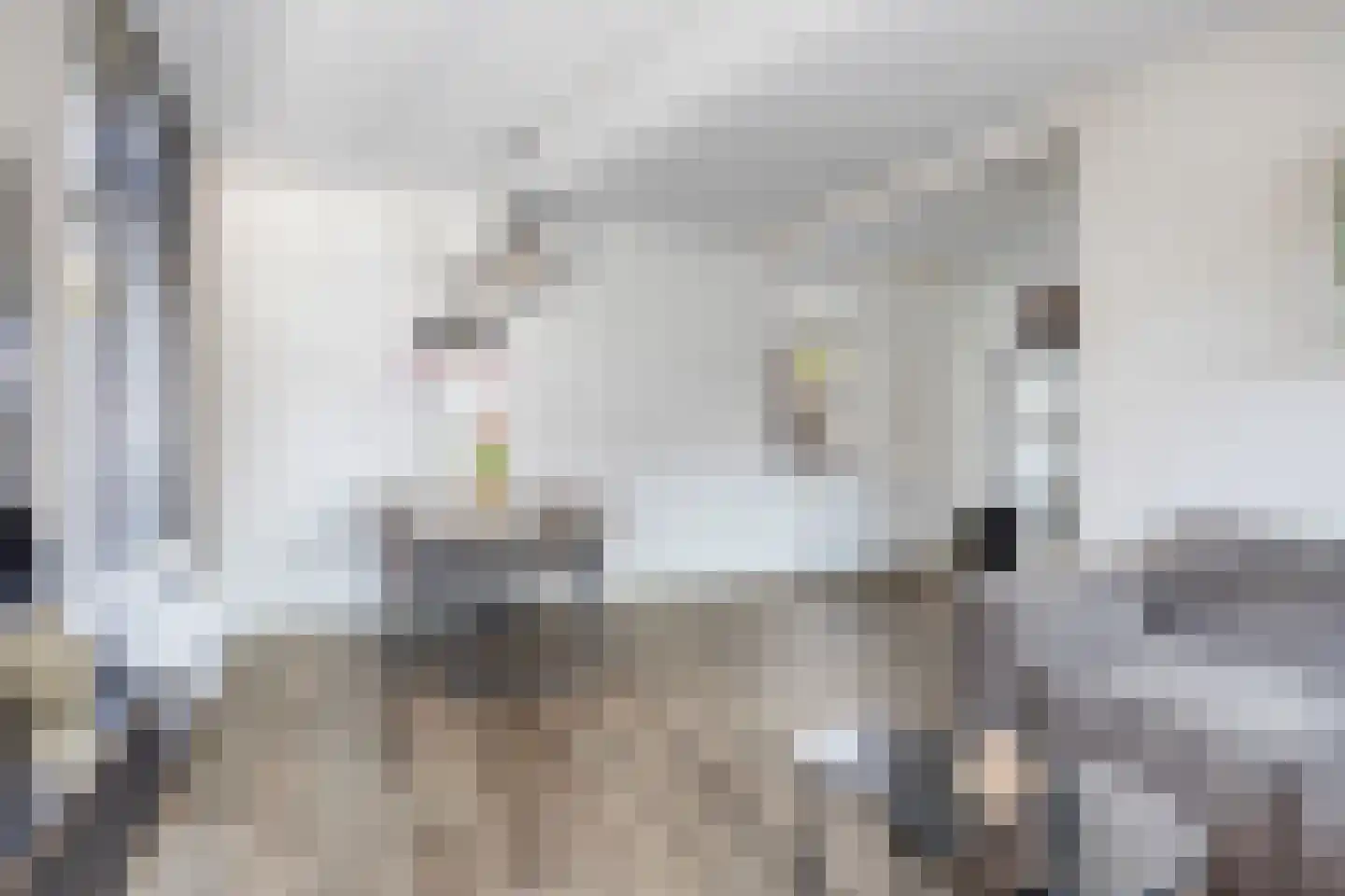 Steenakkerstraat 49 Maasbracht thumbnail 7