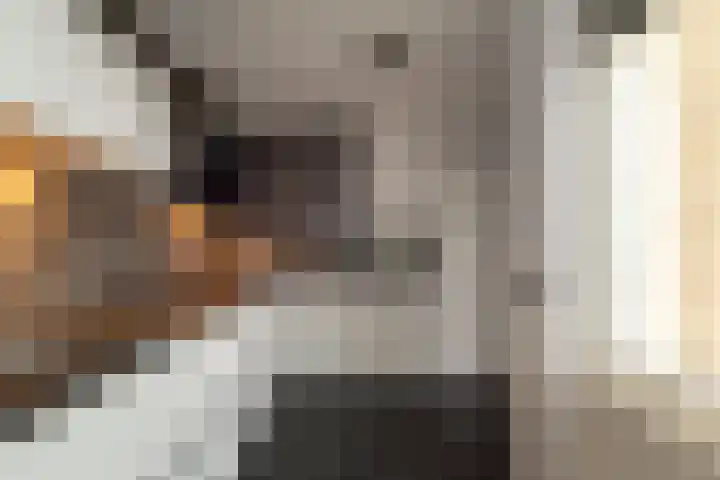 Steenanjer 11 Nijverdal thumbnail 13