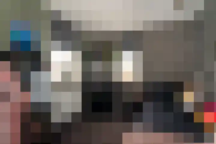 Steenanjer 11 Nijverdal thumbnail 21