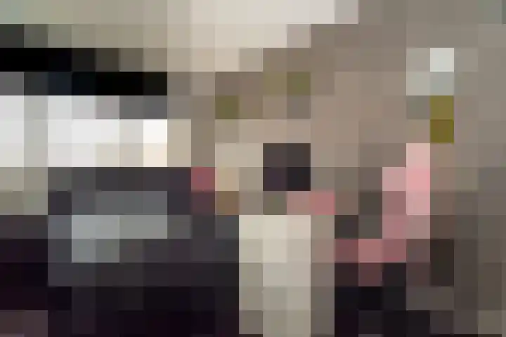 Steenanjer 11 Nijverdal thumbnail 22