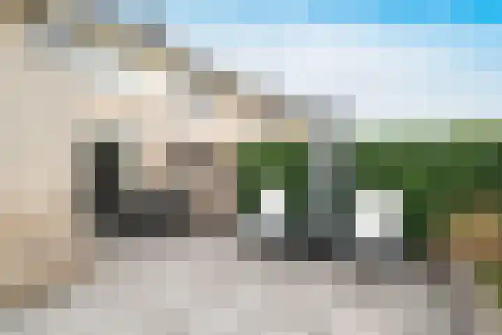 Steenanjer 11 Nijverdal thumbnail 32