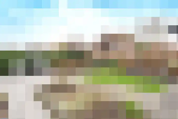 Steenanjer 11 Nijverdal thumbnail 34