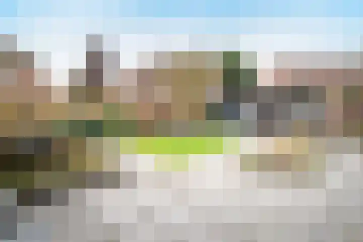 Steenanjer 11 Nijverdal thumbnail 35