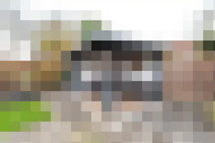 Steenanjer 11 Nijverdal thumbnail 36