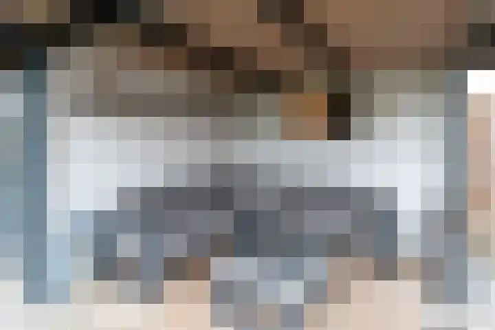 Steenanjer 11 Nijverdal thumbnail 37