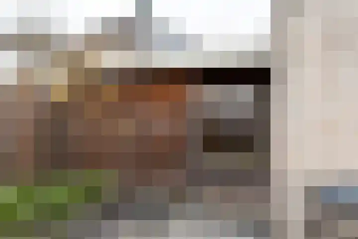 Steenanjer 11 Nijverdal thumbnail 38