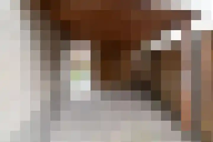 Steenanjer 11 Nijverdal thumbnail 39