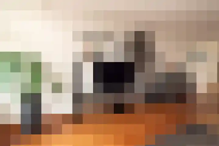 Steenanjer 11 Nijverdal thumbnail 6