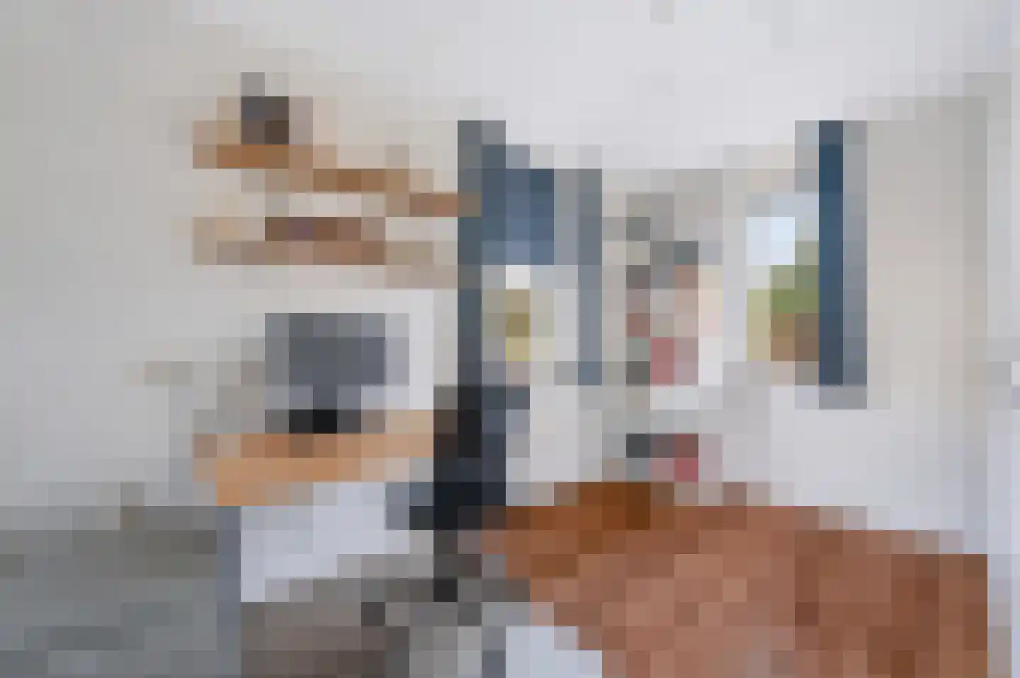 Steenanjer 7 Nijverdal thumbnail 11