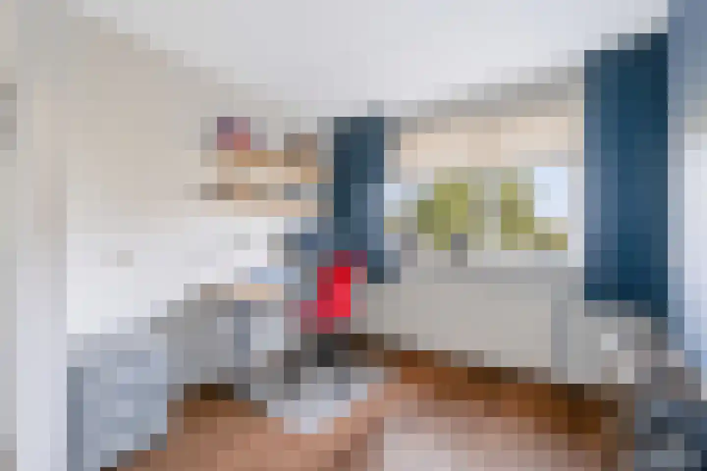 Steenanjer 7 Nijverdal thumbnail 12
