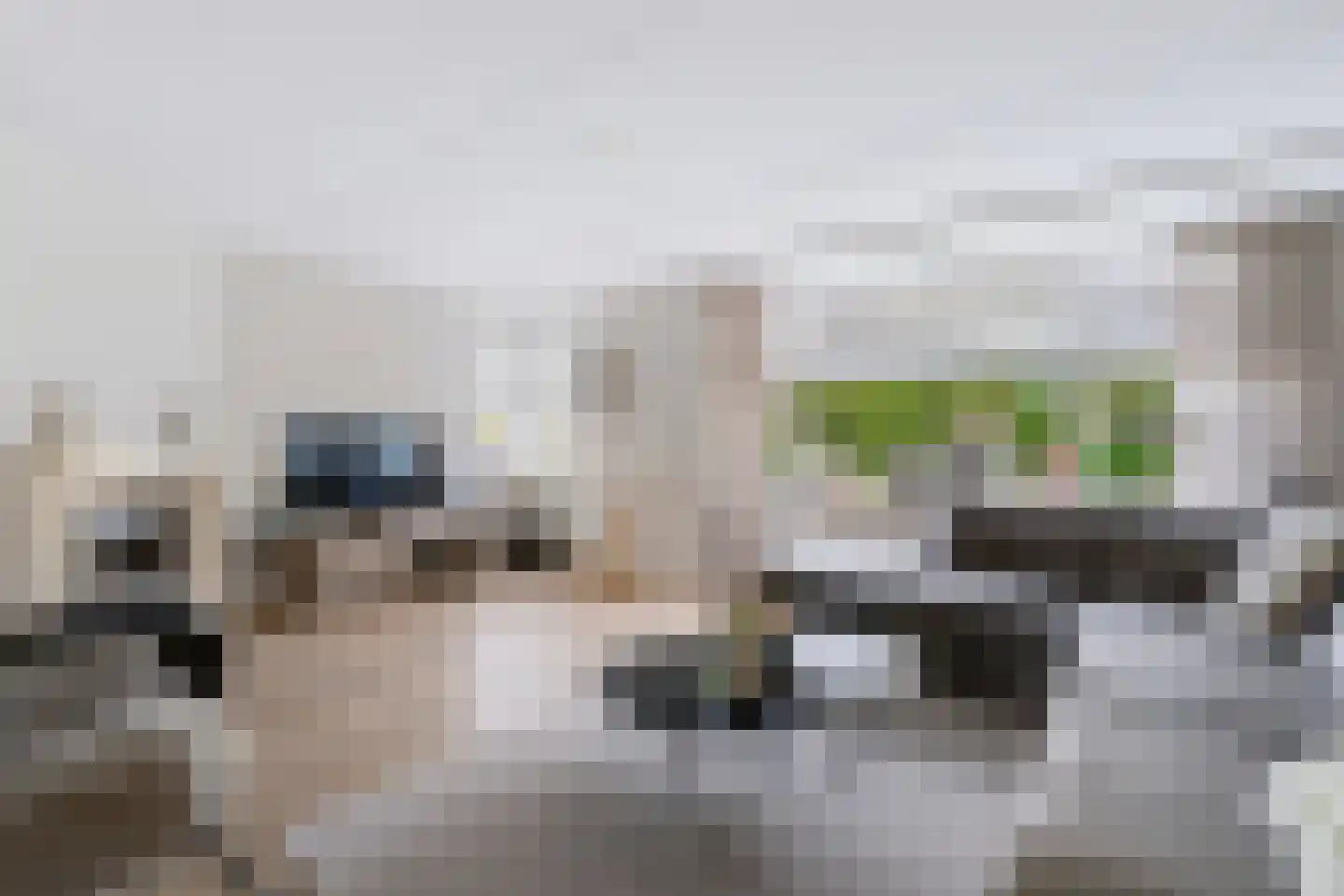 Steenanjer 7 Nijverdal thumbnail 15