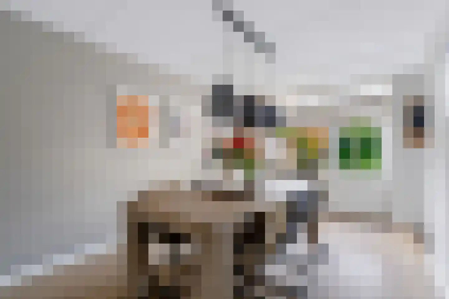 Steenanjer 7 Nijverdal thumbnail 18
