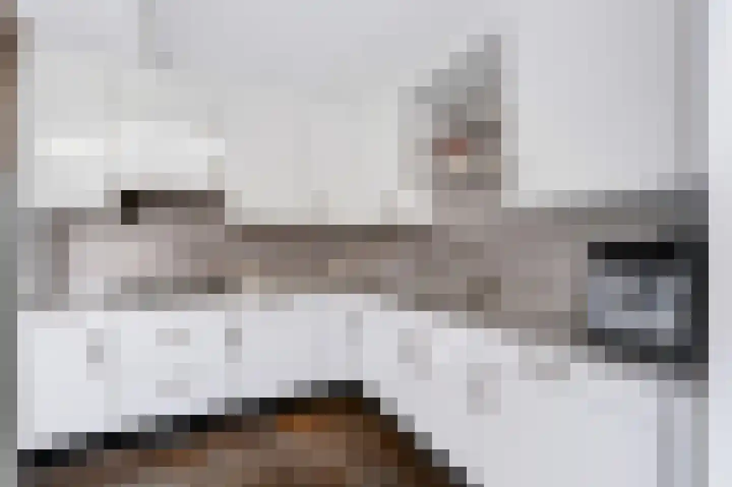 Steenanjer 7 Nijverdal thumbnail 19