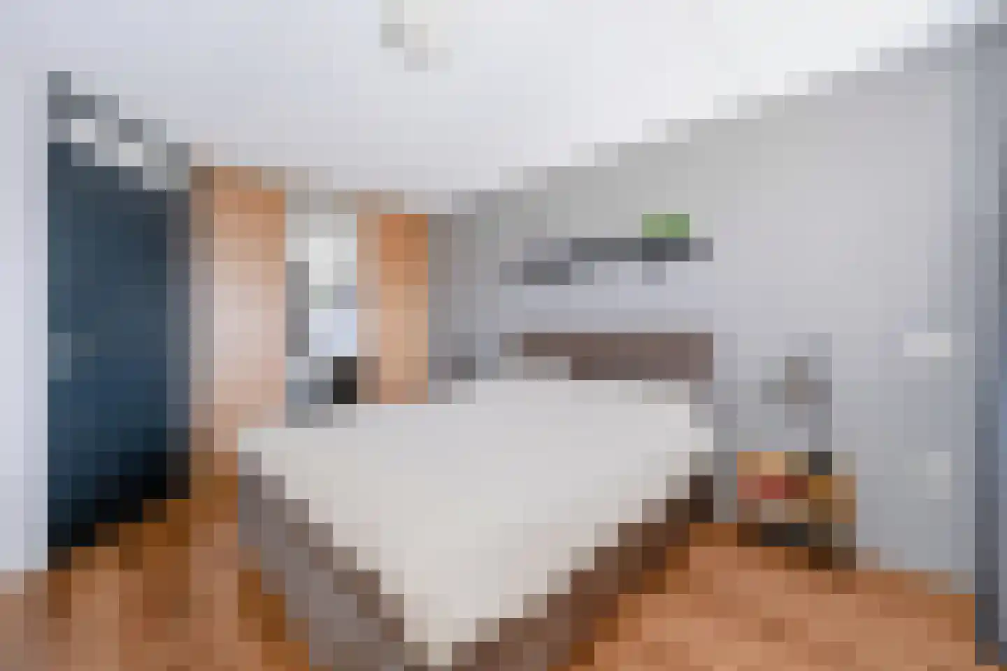 Steenanjer 7 Nijverdal thumbnail 22