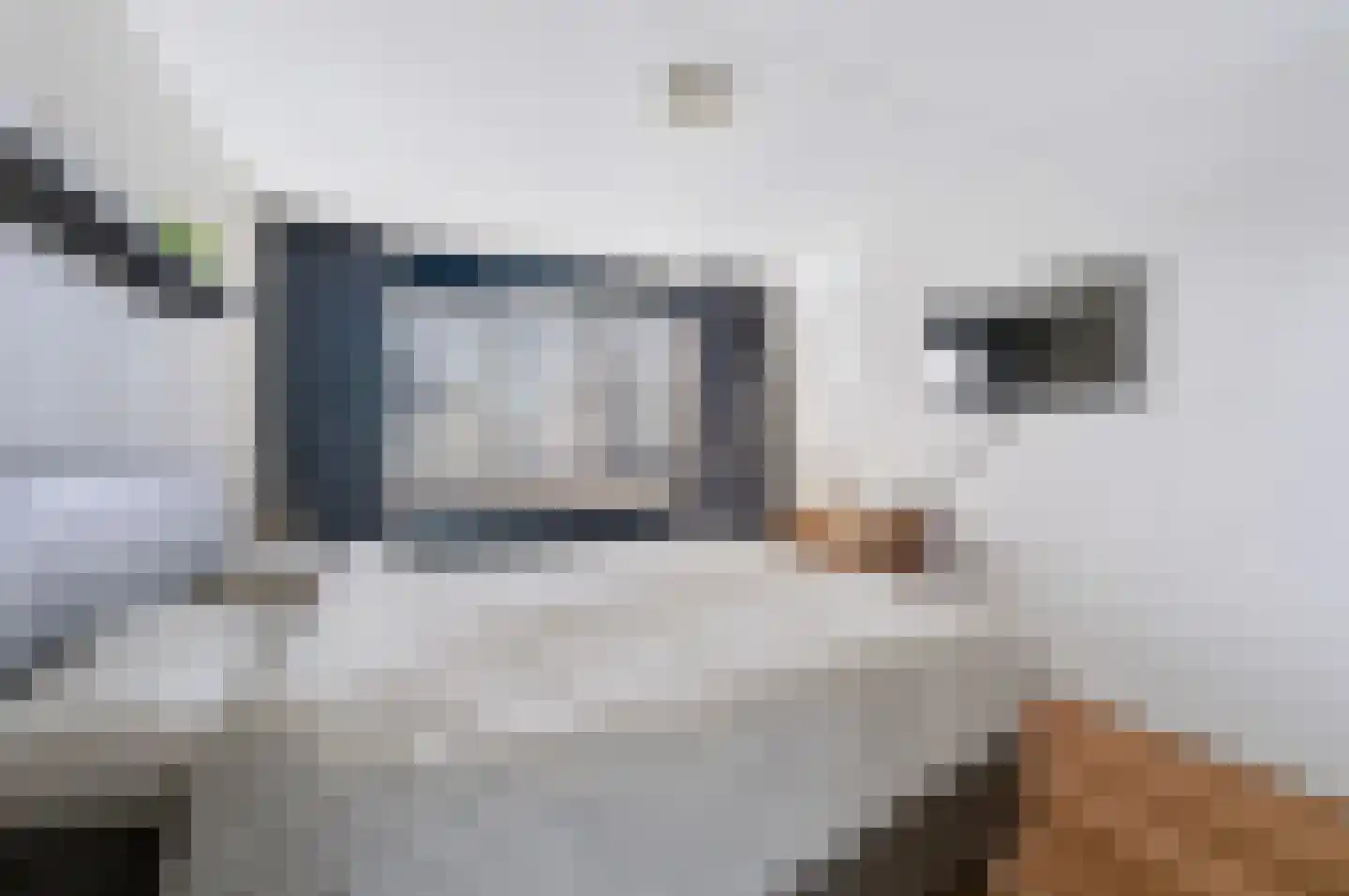 Steenanjer 7 Nijverdal thumbnail 23