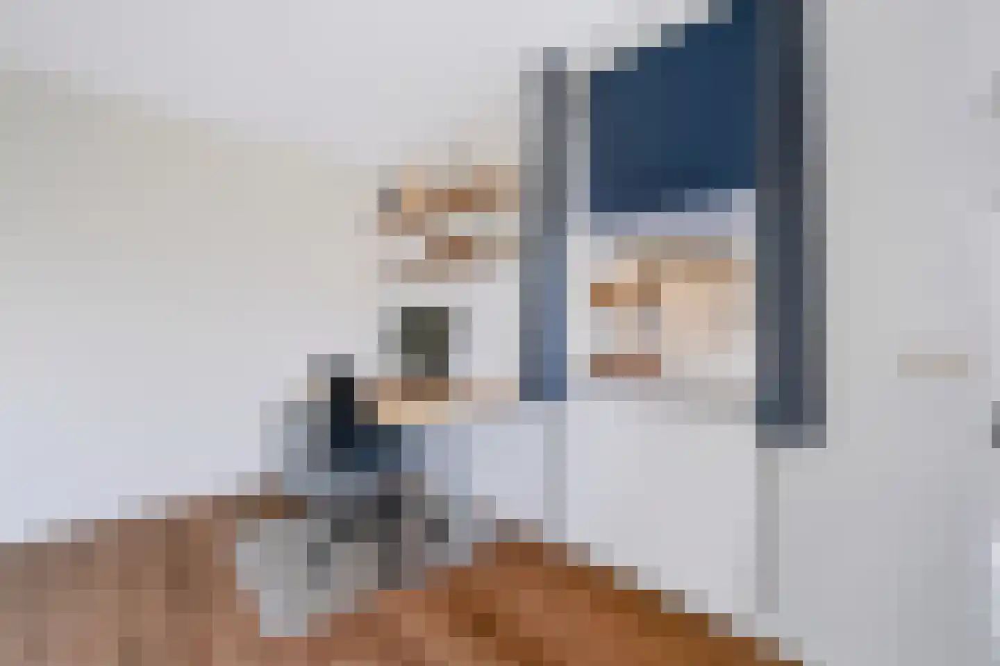 Steenanjer 7 Nijverdal thumbnail 24