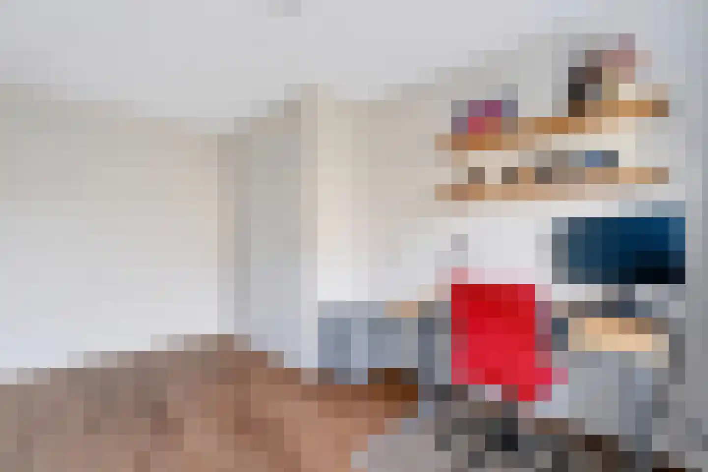 Steenanjer 7 Nijverdal thumbnail 25