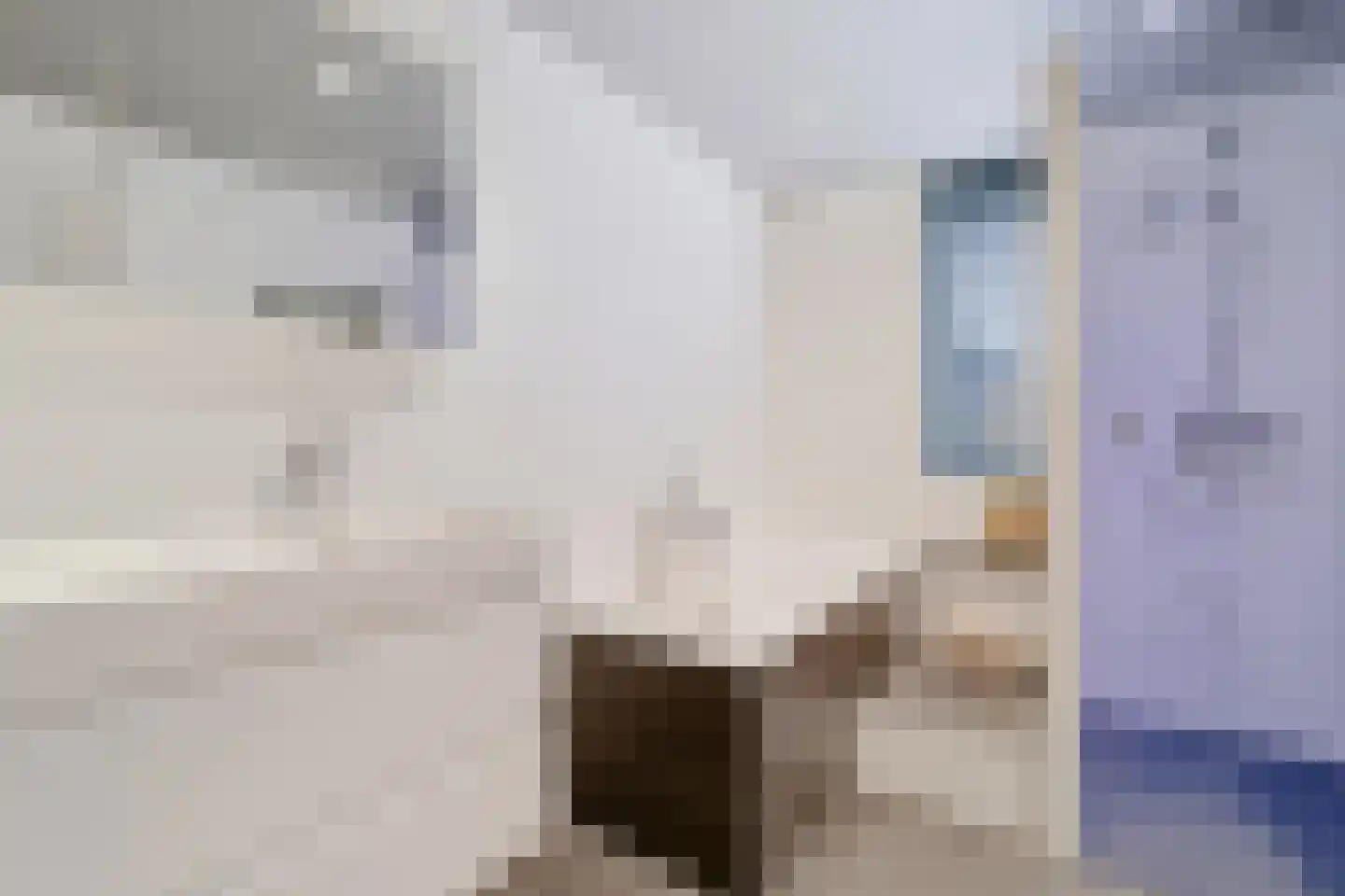 Steenanjer 7 Nijverdal thumbnail 26