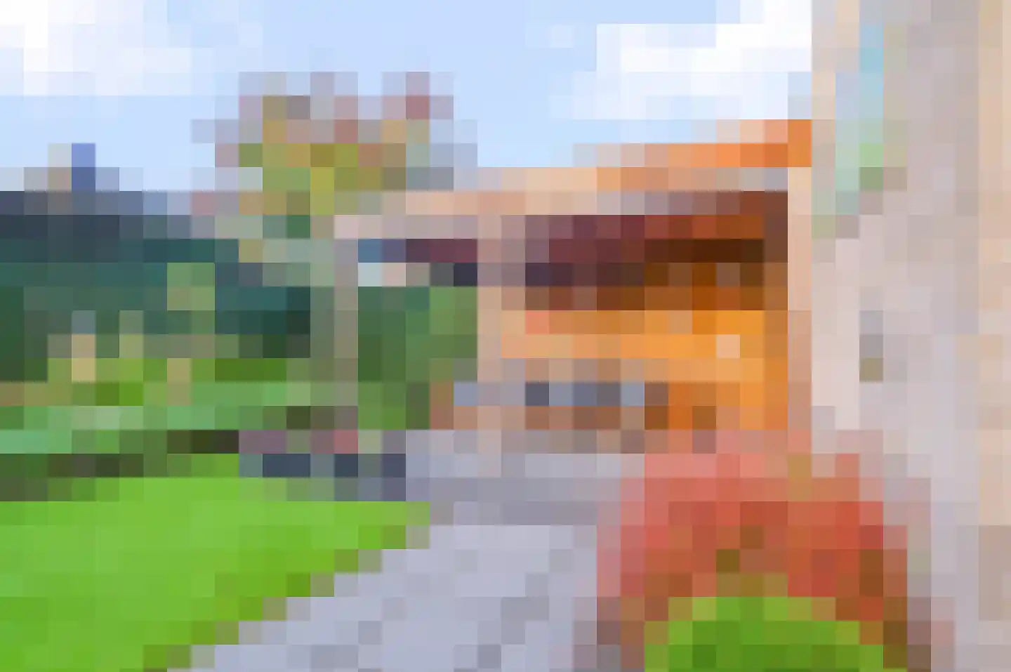 Steenanjer 7 Nijverdal thumbnail 30
